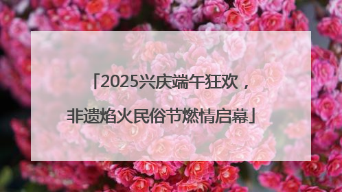 2025兴庆端午狂欢，非遗焰火民俗节燃情启幕