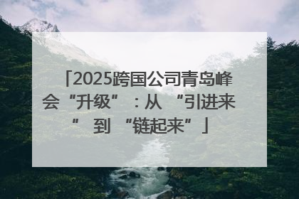2025跨国公司青岛峰会“升级”：从 “引进来” 到 “链起来”