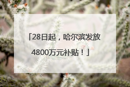 28日起，哈尔滨发放4800万元补贴！