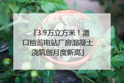 3.9万立方米！潘口抽蓄电站厂房混凝土浇筑创月度新高