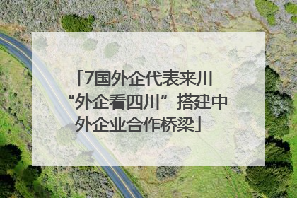 7国外企代表来川 “外企看四川”搭建中外企业合作桥梁