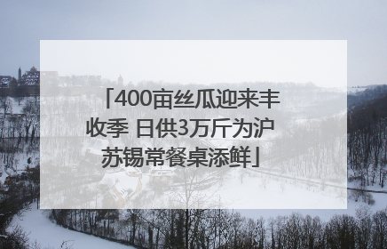 400亩丝瓜迎来丰收季 日供3万斤为沪苏锡常餐桌添鲜