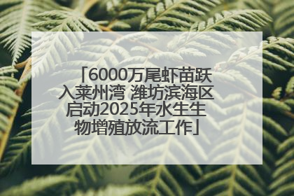 6000万尾虾苗跃入莱州湾 潍坊滨海区启动2025年水生生物增殖放流工作