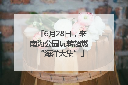 6月28日，来南海公园玩转超燃 “海洋大集”