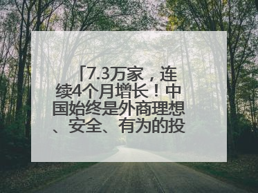 7.3万家，连续4个月增长！中国始终是外商理想、安全、有为的投资目的地