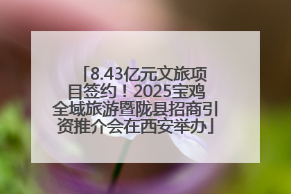 8.43亿元文旅项目签约！2025宝鸡全域旅游暨陇县招商引资推介会在西安举办