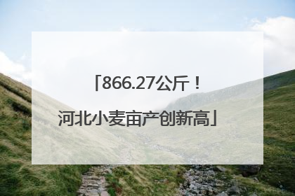 866.27公斤！河北小麦亩产创新高