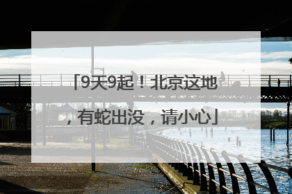 9天9起！北京这地，有蛇出没，请小心