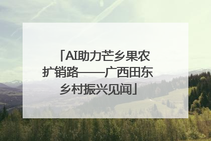 AI助力芒乡果农扩销路——广西田东乡村振兴见闻