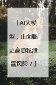 AI大模型，正面临更高隐私泄露风险？