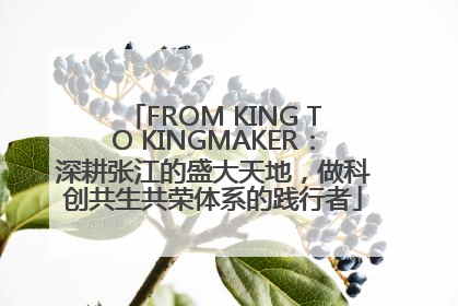 FROM KING TO KINGMAKER：深耕张江的盛大天地，做科创共生共荣体系的践行者