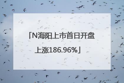 N海阳上市首日开盘上涨186.96%